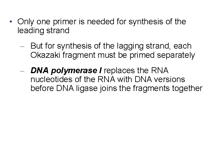  • Only one primer is needed for synthesis of the leading strand –