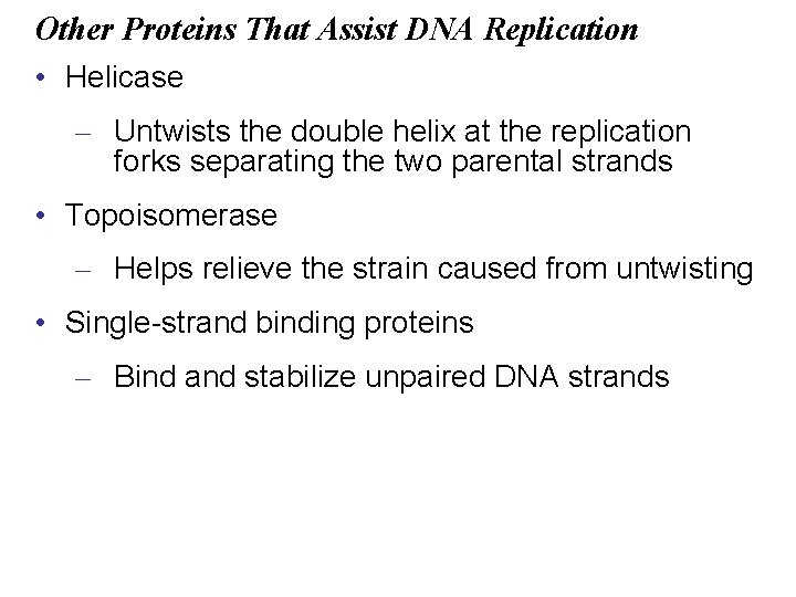 Other Proteins That Assist DNA Replication • Helicase – Untwists the double helix at