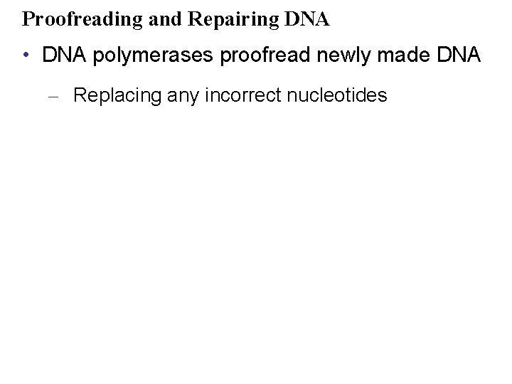 Proofreading and Repairing DNA • DNA polymerases proofread newly made DNA – Replacing any