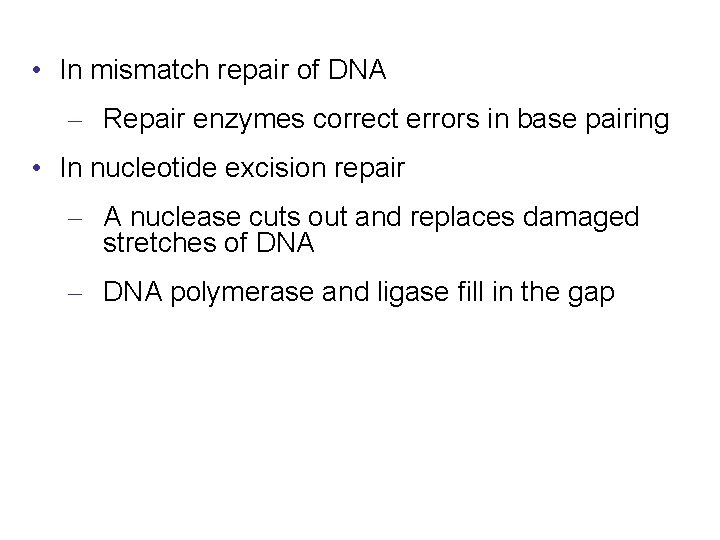 • In mismatch repair of DNA – Repair enzymes correct errors in base