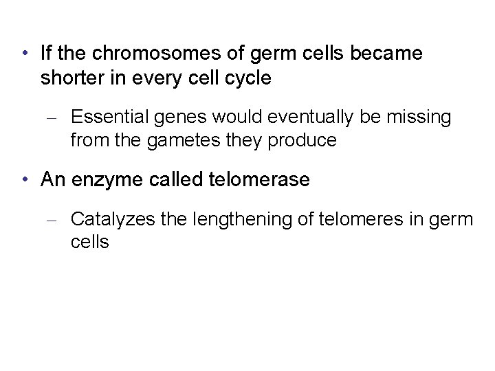  • If the chromosomes of germ cells became shorter in every cell cycle