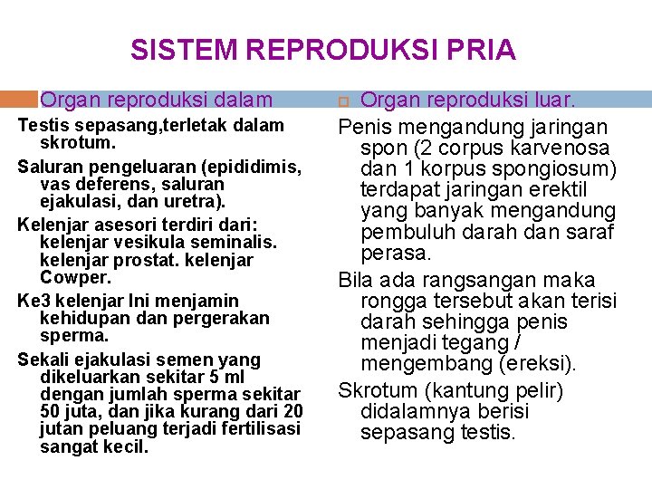 SISTEM REPRODUKSI PRIA Organ reproduksi dalam Testis sepasang, terletak dalam skrotum. Saluran pengeluaran (epididimis,