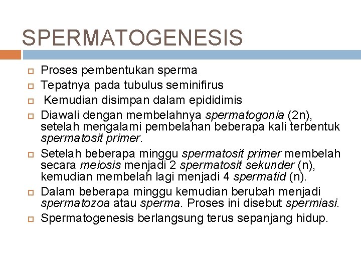 SPERMATOGENESIS Proses pembentukan sperma Tepatnya pada tubulus seminifirus Kemudian disimpan dalam epididimis Diawali dengan