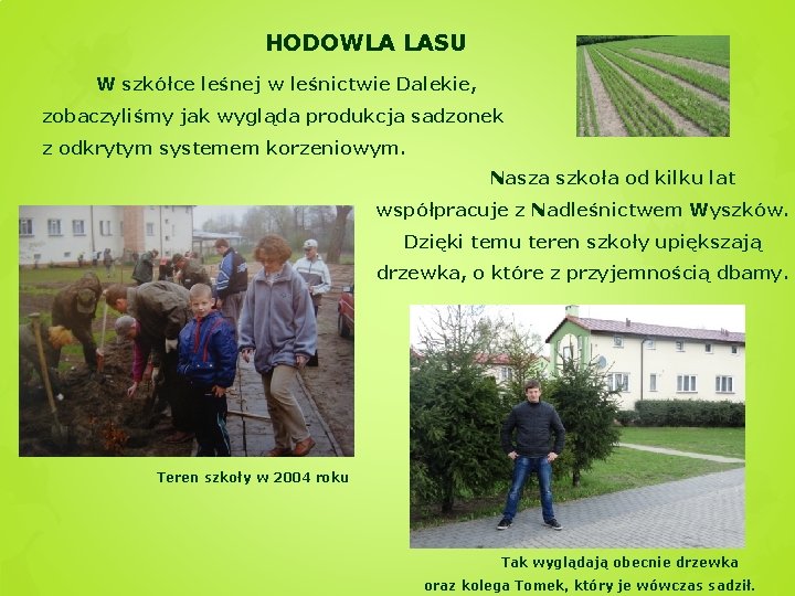 HODOWLA LASU W szkółce leśnej w leśnictwie Dalekie, zobaczyliśmy jak wygląda produkcja sadzonek z