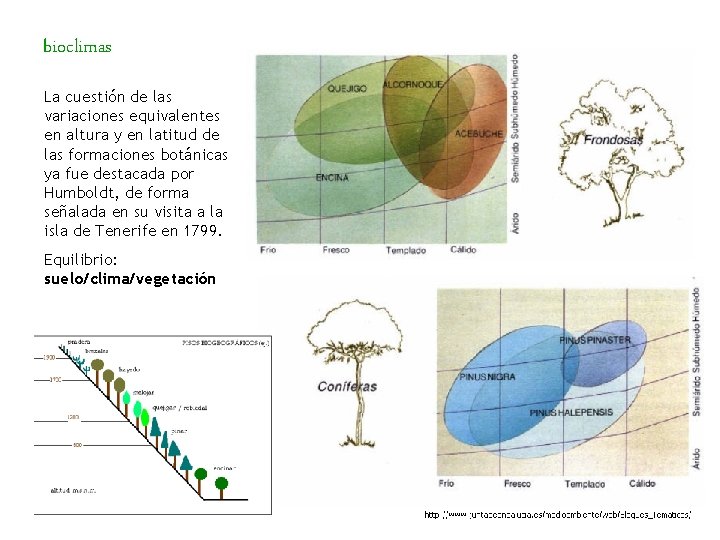 bioclimas La cuestión de las variaciones equivalentes en altura y en latitud de las