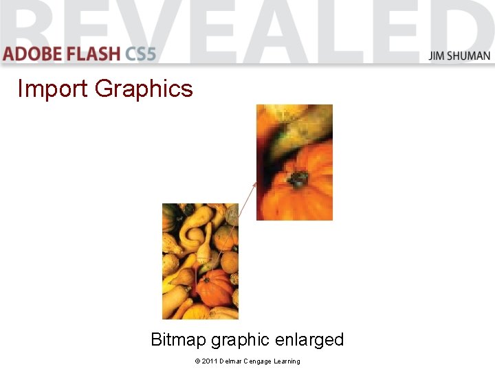 Import Graphics Bitmap graphic enlarged © 2011 Delmar Cengage Learning Import Graphics Bitmap graphic enlarged © 2011 Delmar Cengage Learning