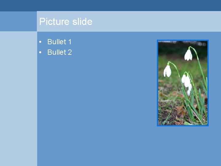 Picture slide • Bullet 1 • Bullet 2 Picture slide • Bullet 1 • Bullet 2