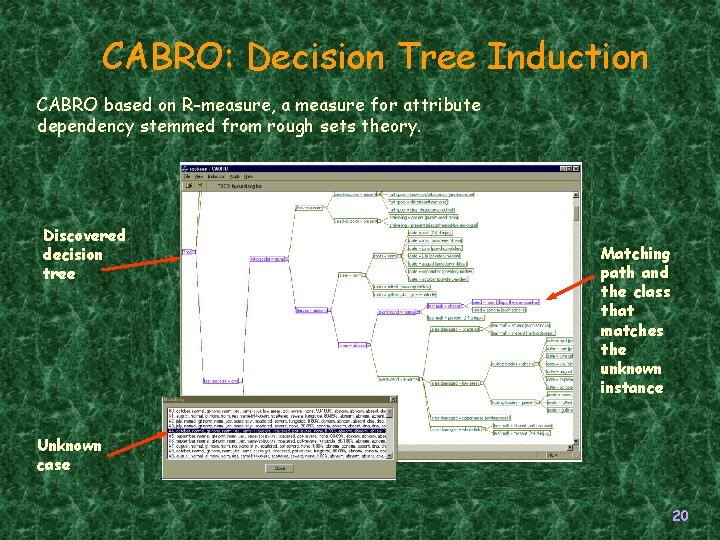 CABRO: Decision Tree Induction CABRO based on R-measure, a measure for attribute dependency stemmed CABRO: Decision Tree Induction CABRO based on R-measure, a measure for attribute dependency stemmed