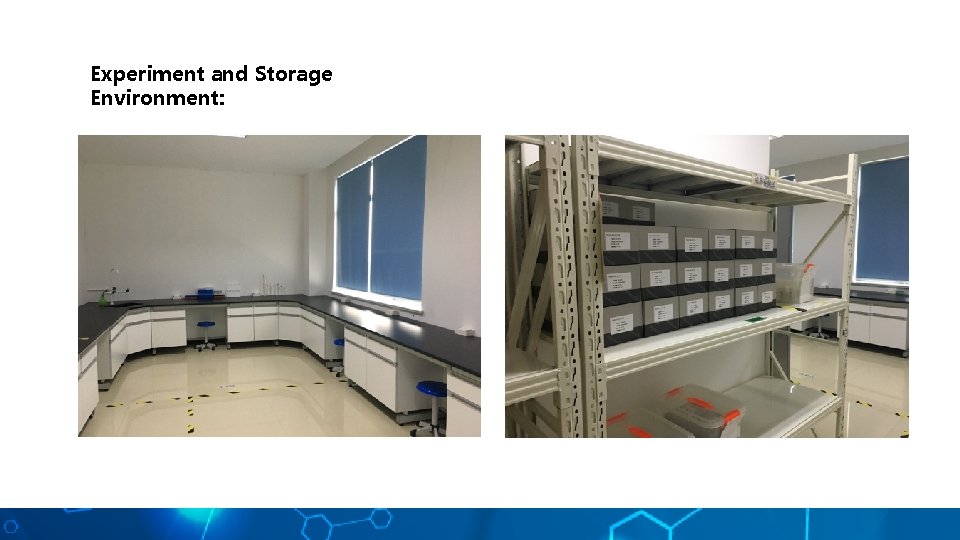 Experiment and Storage Environment: 