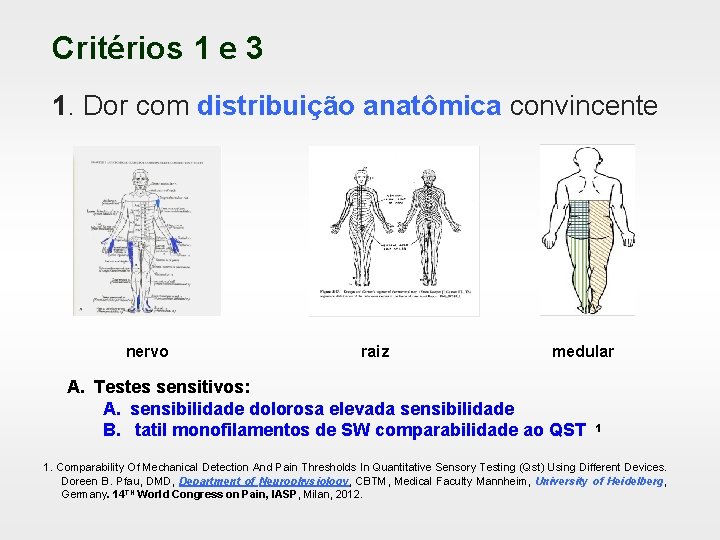 Critérios 1 e 3 1. Dor com distribuição anatômica convincente nervo raiz medular A.