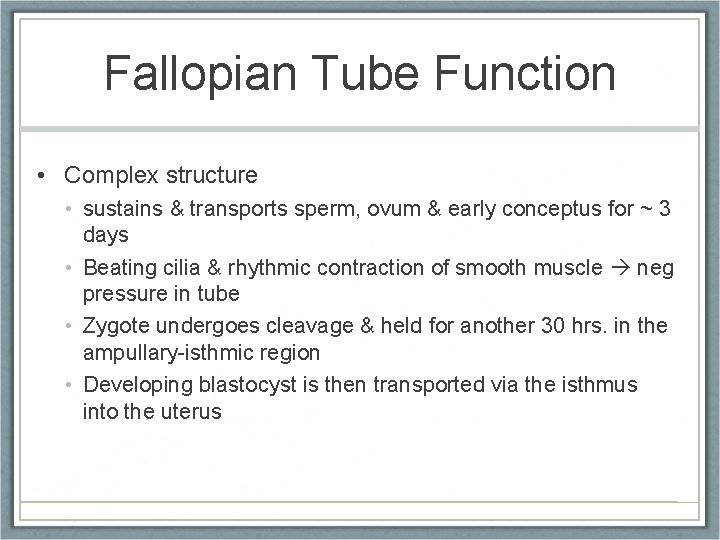Fallopian Tube Function • Complex structure • sustains & transports sperm, ovum & early