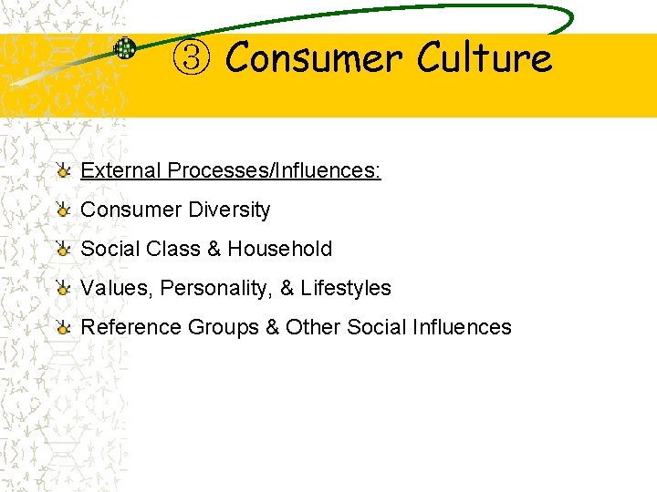 ③ Consumer Culture External Processes/Influences: Consumer Diversity Social Class & Household Values, Personality, &