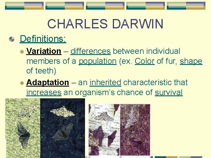 CHARLES DARWIN Definitions: Variation – differences between individual members of a population (ex. Color