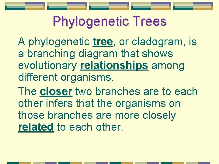 Phylogenetic Trees �A phylogenetic tree, tree or cladogram, is a branching diagram that shows