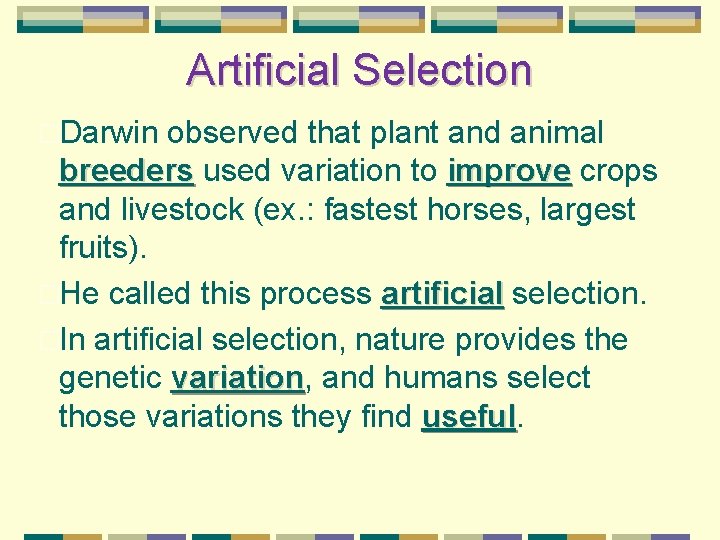 Artificial Selection �Darwin observed that plant and animal breeders used variation to improve crops