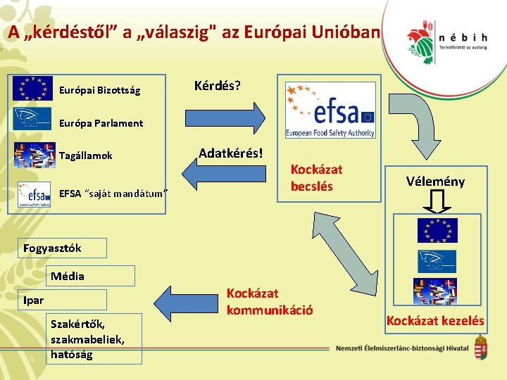 A „kérdéstől” a „válaszig" az Európai Unióban Európai Bizottság Kérdés? Európa Parlament Tagállamok EFSA