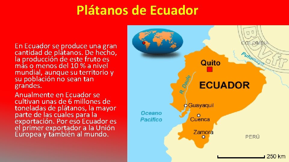 Plátanos de Ecuador En Ecuador se produce una gran cantidad de plátanos. De hecho,