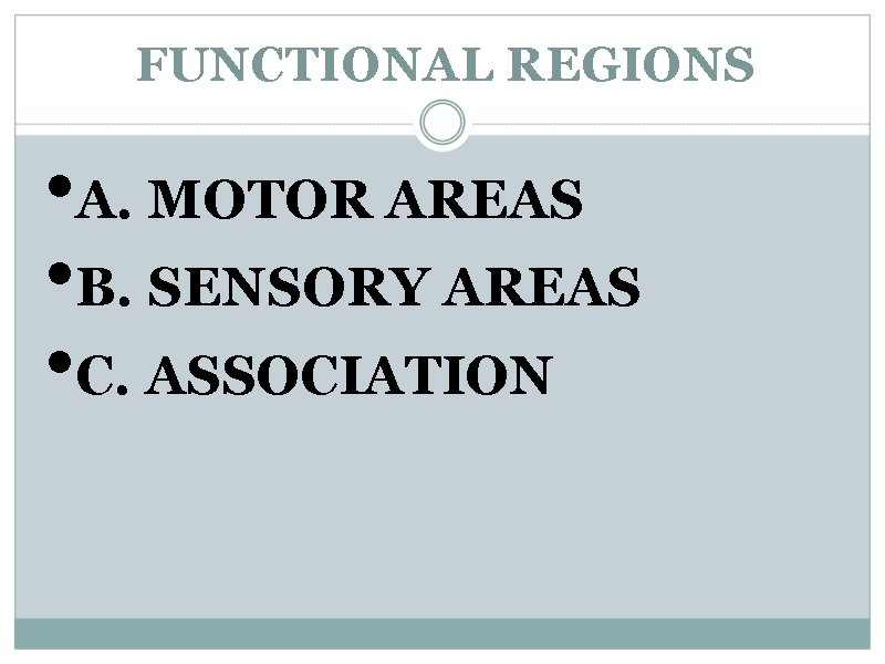FUNCTIONAL REGIONS • A. MOTOR AREAS • B. SENSORY AREAS • C. ASSOCIATION 