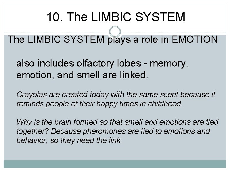 10. The LIMBIC SYSTEM plays a role in EMOTION also includes olfactory lobes -