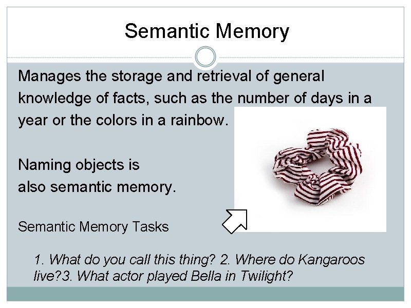 Semantic Memory Manages the storage and retrieval of general knowledge of facts, such as