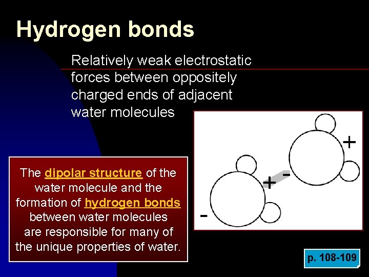 Hydrogen bonds Relatively weak electrostatic forces between oppositely charged ends of adjacent water molecules
