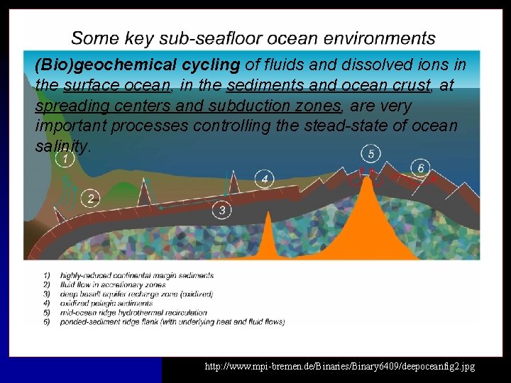 (Bio)geochemical cycling of fluids and dissolved ions in the surface ocean, in the sediments