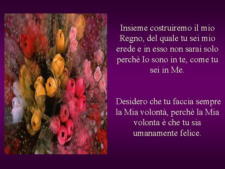 Insieme costruiremo il mio Regno, del quale tu sei mio erede e in esso Insieme costruiremo il mio Regno, del quale tu sei mio erede e in esso