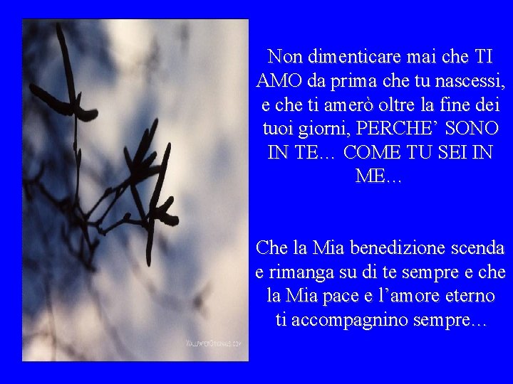 Non dimenticare mai che TI AMO da prima che tu nascessi, e che ti Non dimenticare mai che TI AMO da prima che tu nascessi, e che ti