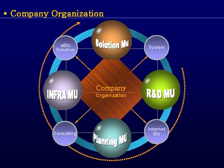 § Company Organization e. Biz Solution System Company Organization Consulting Internet Biz 