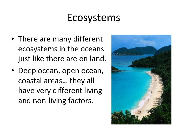 Ecosystems • There are many different ecosystems in the oceans just like there are