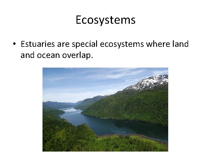 Ecosystems • Estuaries are special ecosystems where land ocean overlap. 