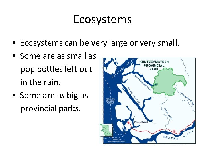 Ecosystems • Ecosystems can be very large or very small. • Some are as