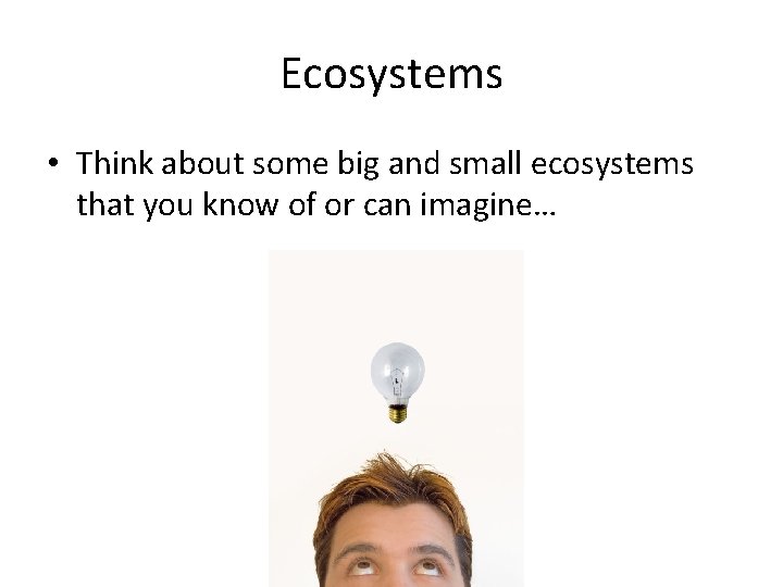Ecosystems • Think about some big and small ecosystems that you know of or