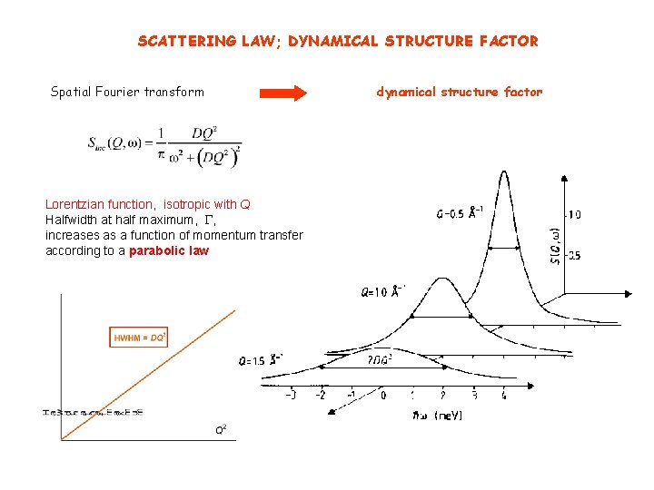 SCATTERING LAW; DYNAMICAL STRUCTURE FACTOR Spatial Fourier transform Lorentzian function, isotropic with Q Halfwidth