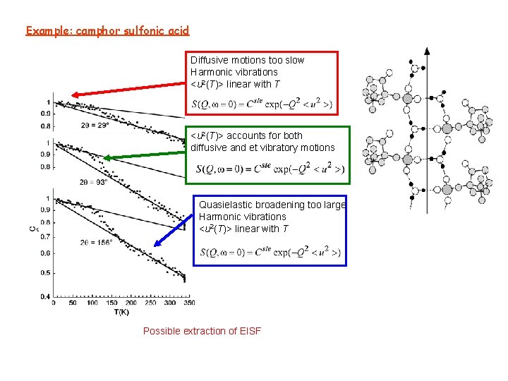 Example: camphor sulfonic acid Diffusive motions too slow Harmonic vibrations <u 2(T)> linear with