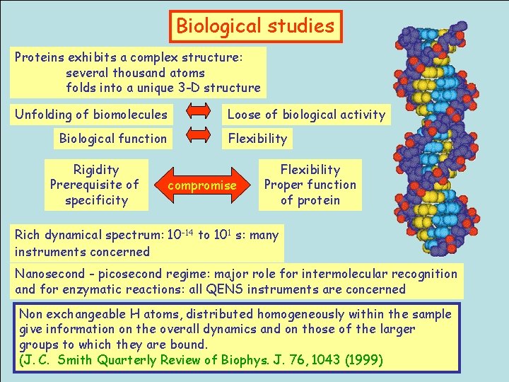 Biological studies Proteins exhibits a complex structure: several thousand atoms folds into a unique