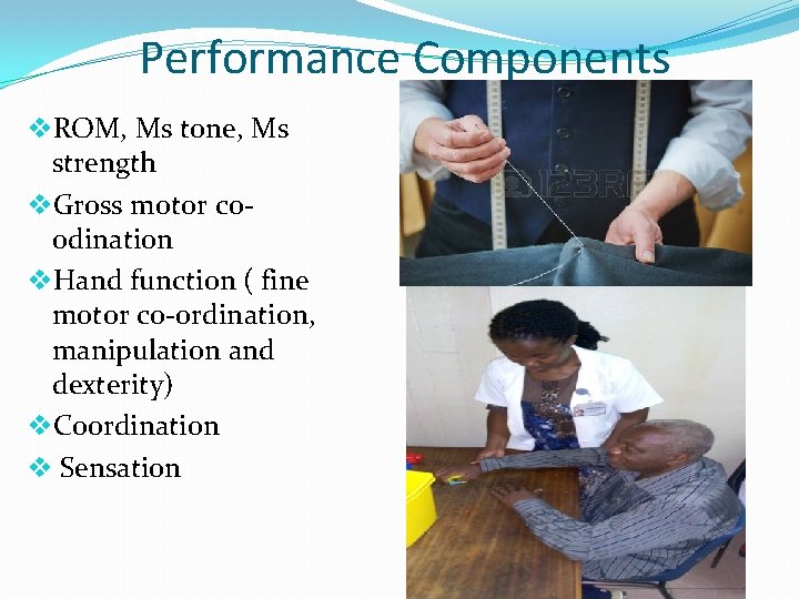 Performance Components v. ROM, Ms tone, Ms strength v. Gross motor coodination v. Hand