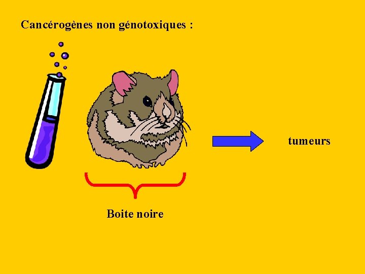 Cancérogènes non génotoxiques : tumeurs Boite noire 