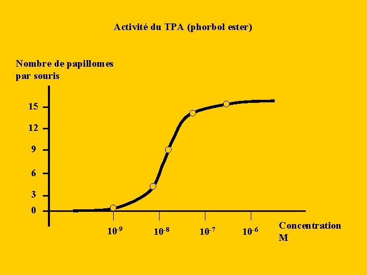 Activité du TPA (phorbol ester) Nombre de papillomes par souris 15 12 9 6