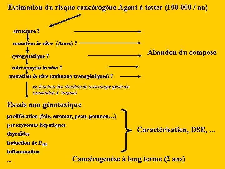 Estimation du risque cancérogène Agent à tester (100 000 / an) structure ? mutation