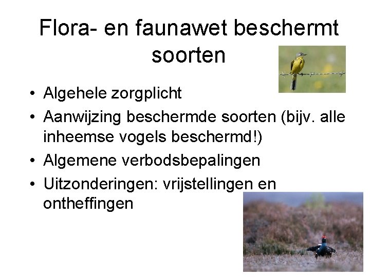 Flora- en faunawet beschermt soorten • Algehele zorgplicht • Aanwijzing beschermde soorten (bijv. alle