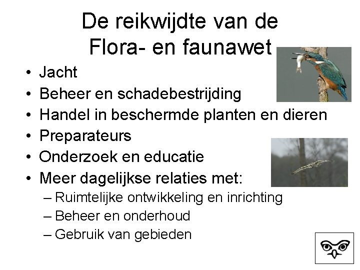 De reikwijdte van de Flora- en faunawet • • • Jacht Beheer en schadebestrijding