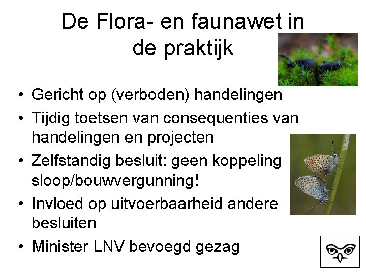 De Flora- en faunawet in de praktijk • Gericht op (verboden) handelingen • Tijdig