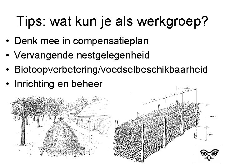 Tips: wat kun je als werkgroep? • • Denk mee in compensatieplan Vervangende nestgelegenheid