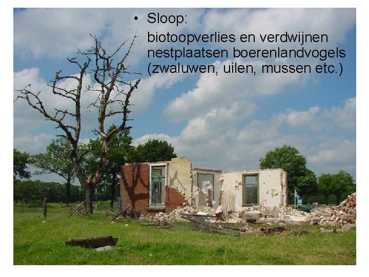  • Sloop: biotoopverlies en verdwijnen nestplaatsen boerenlandvogels (zwaluwen, uilen, mussen etc. ) 