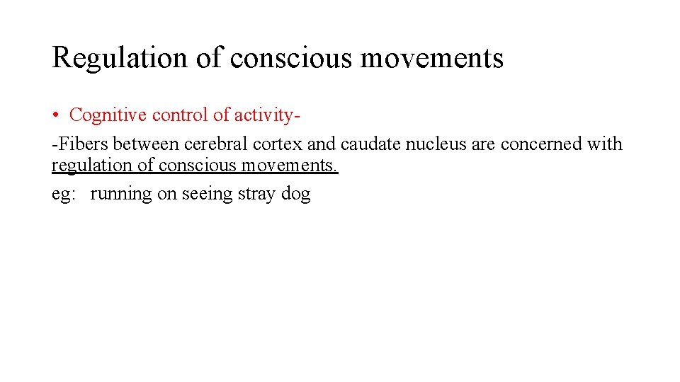 Regulation of conscious movements • Cognitive control of activity-Fibers between cerebral cortex and caudate