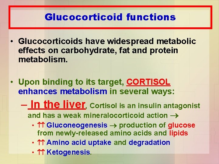 Glucocorticoid functions • Glucocorticoids have widespread metabolic effects on carbohydrate, fat and protein metabolism.