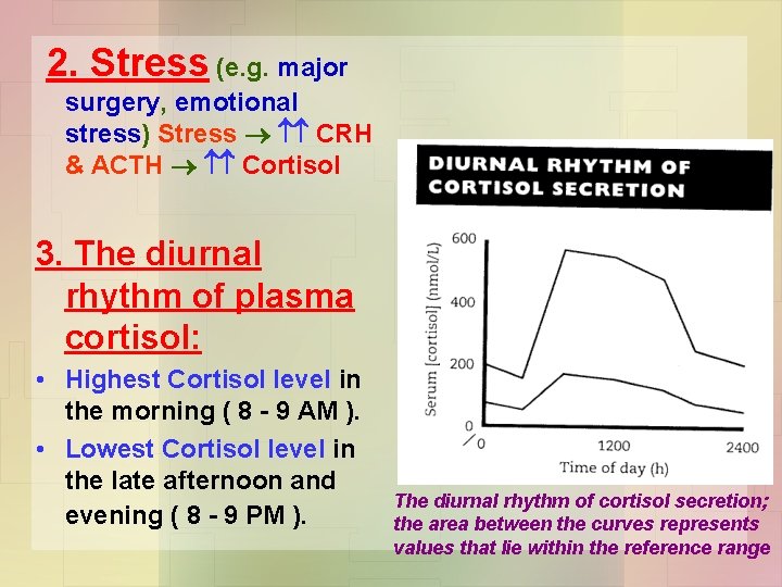 2. Stress (e. g. major surgery, emotional stress) Stress CRH & ACTH Cortisol 3.