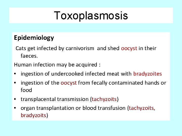 Toxoplasmosis Epidemiology Cats get infected by carnivorism and shed oocyst in their faeces. Human