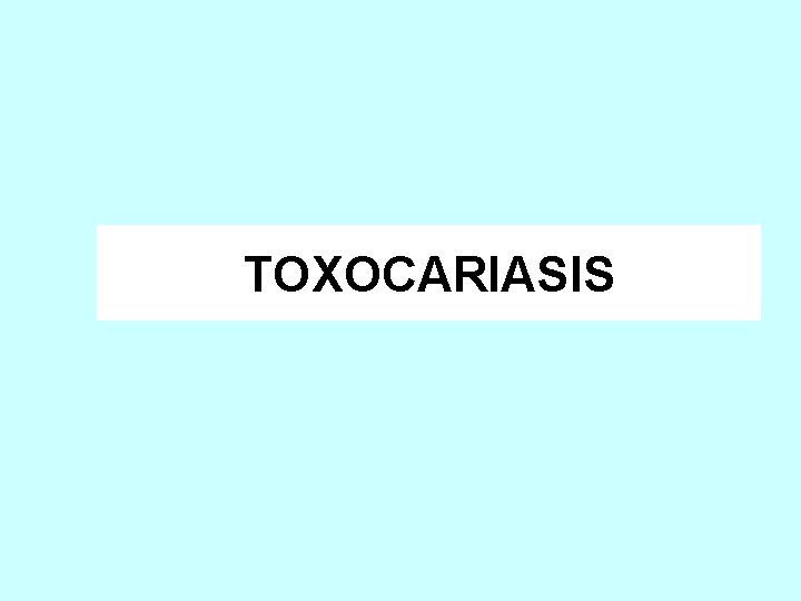 TOXOCARIASIS 